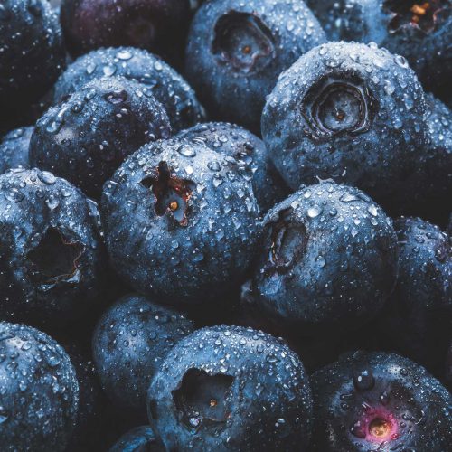Fresh Fruit